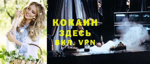 винт Мегион